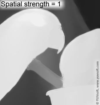 Spatial strength option example